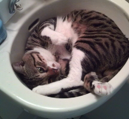 In a sentimental mood