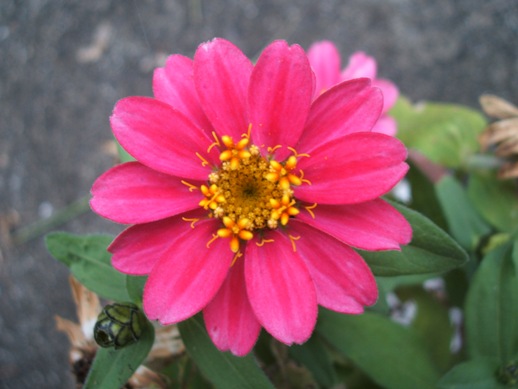 DSCF3716syou.JPG