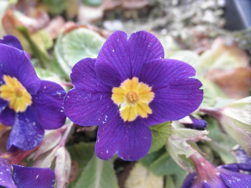 P1180005 - コピー.JPG