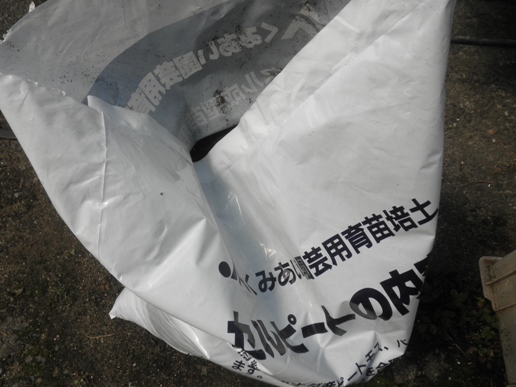 P9240092sy.JPG