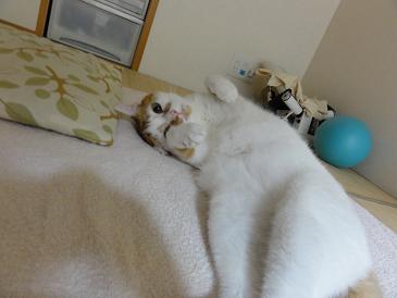 DSC00144a.JPG