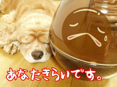 モカ