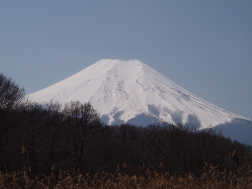 富士山１.jpg
