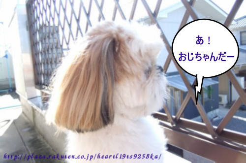 湧二外を見る１