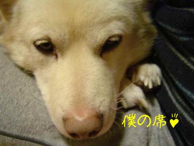 シュー２