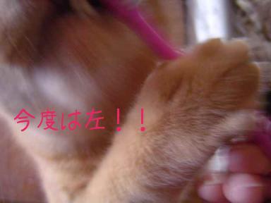 歯磨き２