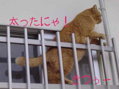 トラ２