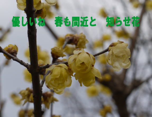 0129a3.jpg