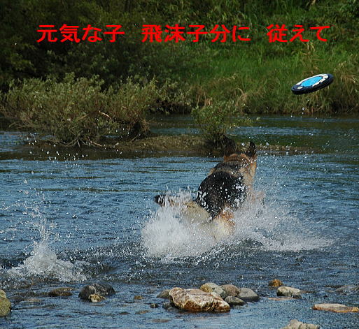 815b8.jpg