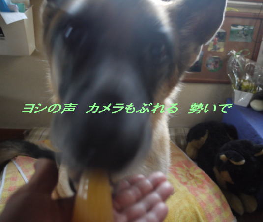 828a2.jpg