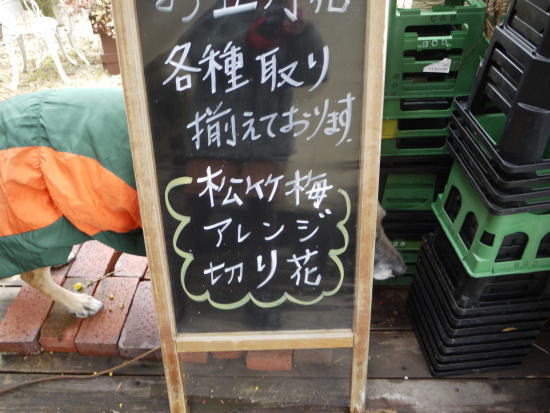 0103a3.jpg