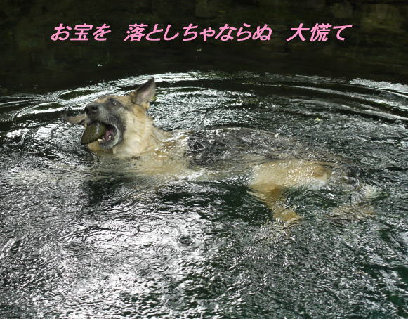 829a6.jpg