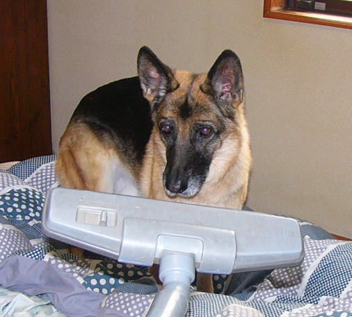 0130b5.jpg