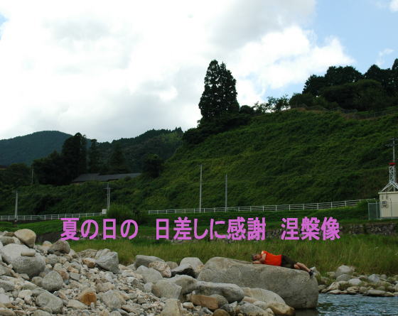 801a5.jpg