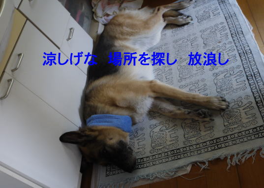 825a2.jpg