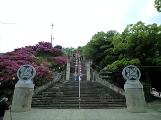 椎宮神社 - 1- 90506