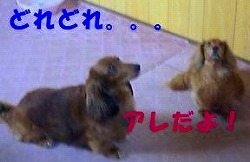 ３