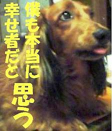アルパ