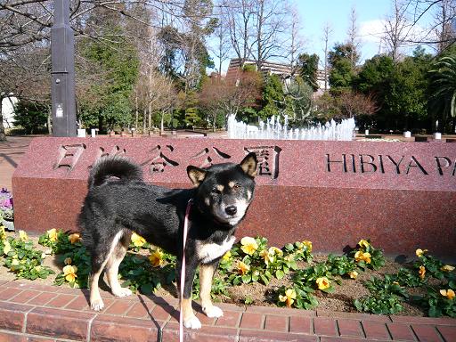 日比谷公園