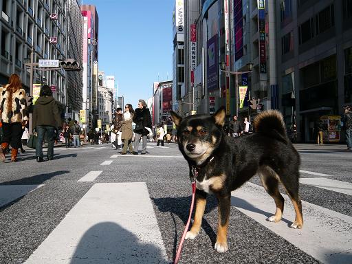 銀座の歩行者天国