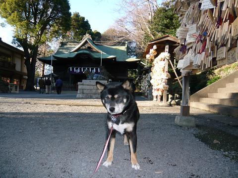 絵馬がたくさん