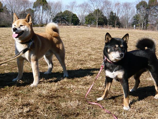 絶対カメラ見ない。。。