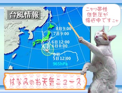 はなみおてんき