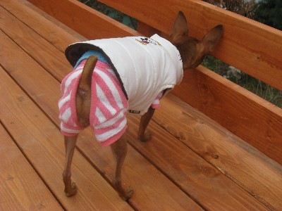 あいべいれもん