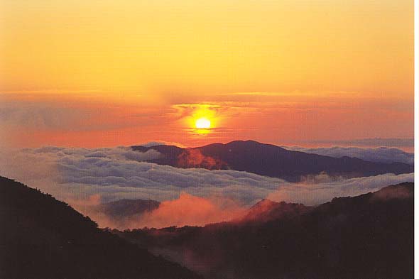 比婆山の雲海