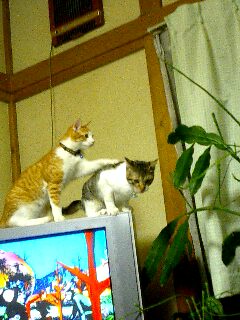 ちょっと！