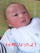 4ヶ月