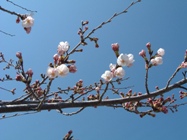 歴史と文化の森公園５