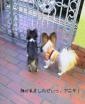 みるく＆ばん