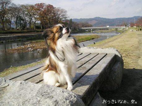 おっきいなぁ、空。