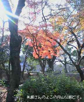 円山公園にて