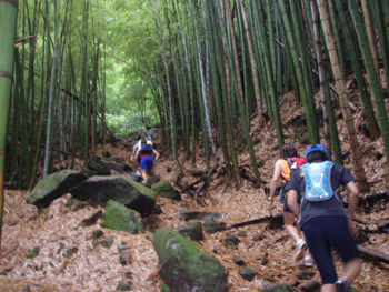 hakone02.jpg