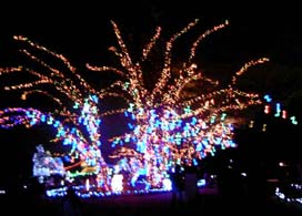 木曽三川公園イルミネーション2008-7