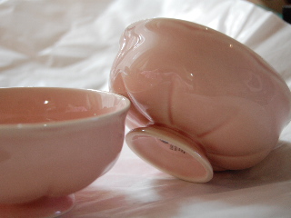 2010_03190165