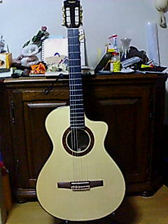 Taylor NS72 LTD