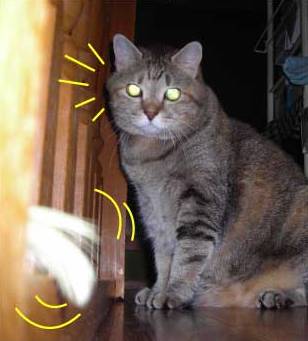 DSCN2038.jpg