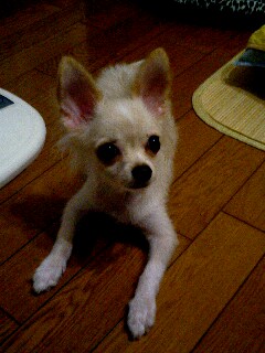 12_0436~0001.jpg