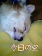 今日の空