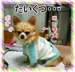 たいくつ犬 009.jpg