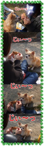 たい焼きと空2 - 4.jpg