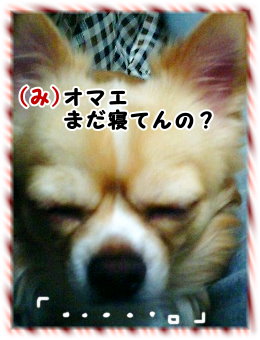 まだ眠いじょねぇ～