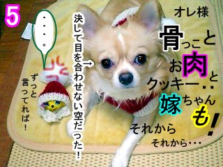 2005-12-01 03:11:21