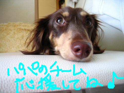 08.7.26 004.jpg