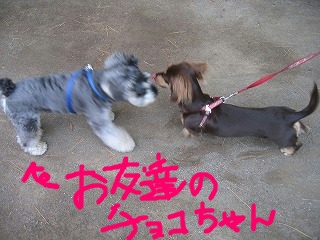 5月5日 001.jpg