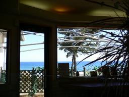 メイプルカフェ　店内から