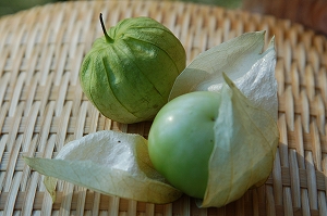 Tomatillo